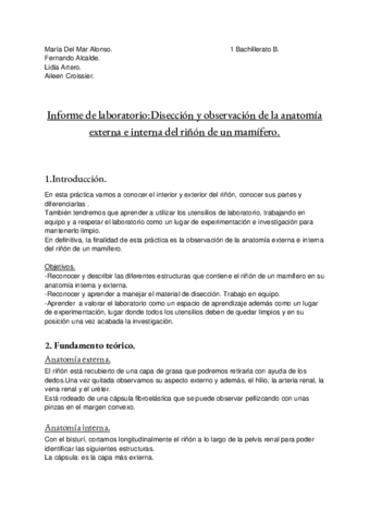 Informe-de-laboratorio-Rinones.pdf