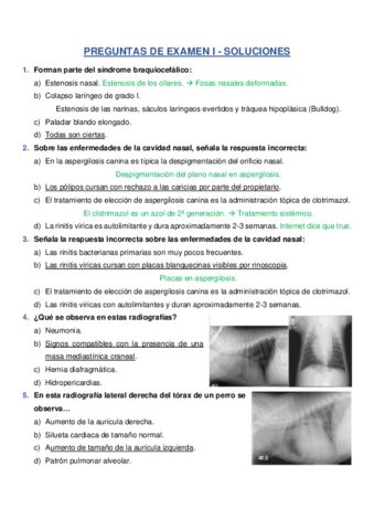 SOLUCIONES-PREGUNTAS-DE-EXAMEN-I-.pdf