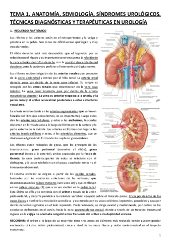 BLOQUE-II.pdf