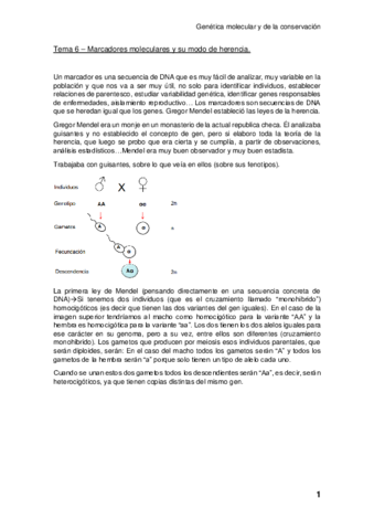 Tema-6-Marcadores-moleculares-y-su-modo-de-herencia.pdf