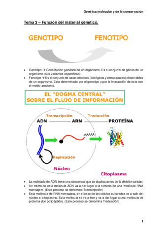 Tema-3-Funcion-del-material-genetico.pdf