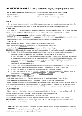 MICRO-I-.pdf