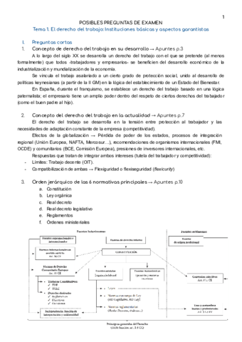 POSIBLES-PREGUNTAS.pdf