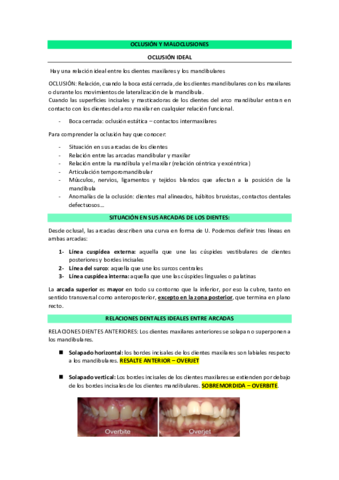 OCLUSION-Y-MALOCLUSIONES.pdf