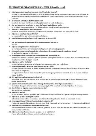 Preguntas-para-sumergirse-tema-3.pdf
