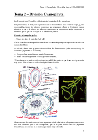 Tema-2-cyanophyta.pdf