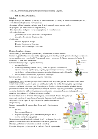 TEMA-12.pdf