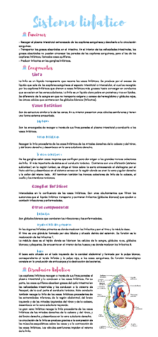 Copia-de-Copia-de-Medio-interno.pdf