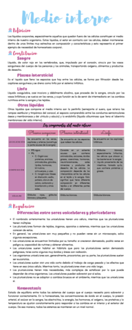 Medio-interno.pdf