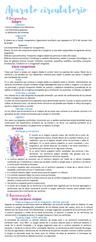 Copia-de-Medio-interno.pdf