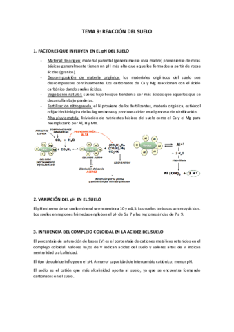 Tema-9.pdf