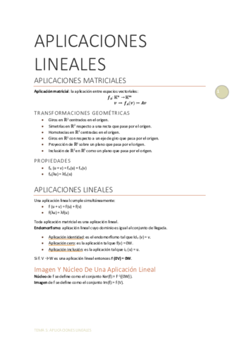 APLICACIONES-LINEALES.pdf