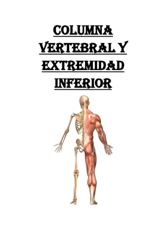 Columna-vertebral-y-cadera.pdf