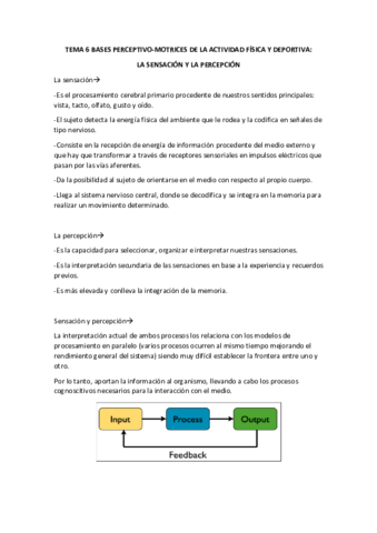 Apuntes-TM-6-8.pdf