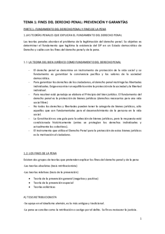 TEMA-1-FINES-DEL-DERECHO-PENAL-PREVENCION-Y-GARANTIAS.pdf