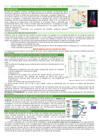 T17-TRANSFORMACION-ENERGIA-LUMINICA-EN-ENERGIA-QUIMICA.pdf