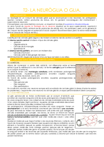T2-NEUROGLIA-O-GLIA.pdf
