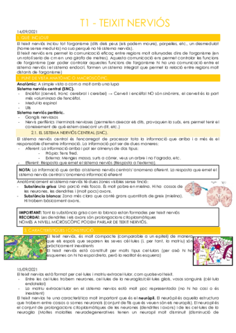 T1-TEIXIT-NERVIOS.pdf