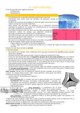 T6-TEIXITS-MECANICS.pdf