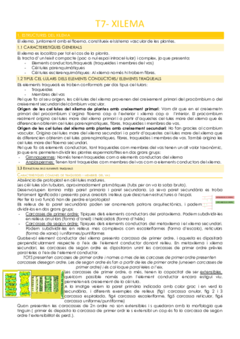 T7-XILEMA.pdf