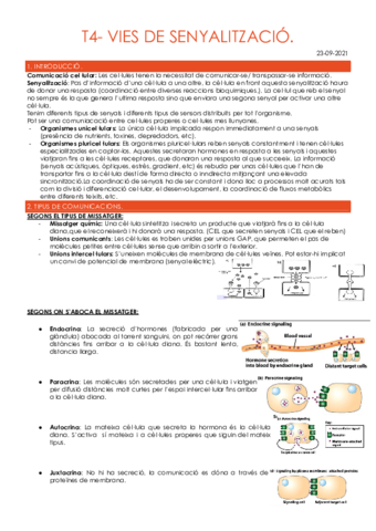 T4-VIES-DE-SENYALITZACIO.pdf