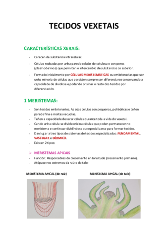 APUNTES-TECIDOS-VEXETAIS-Lucia-Baluja-1o-BACH-D.pdf