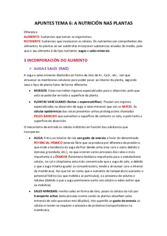 APUNTES-TEMA-6.pdf