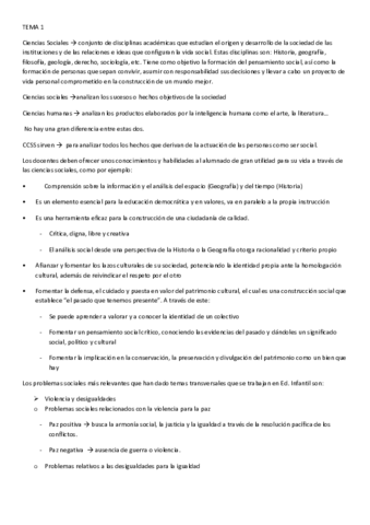 RESUMENES-RAFA.pdf