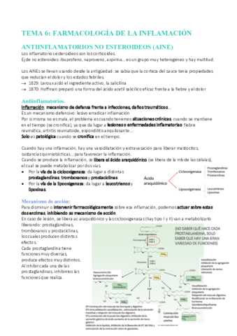 Tema-6-Farmacos-inflamacion.pdf