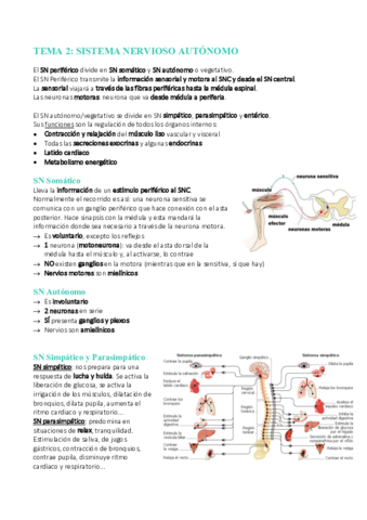 Tema-2-SN-Autonomo.pdf