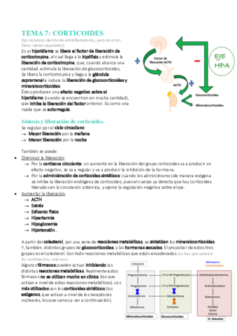 Tema-7-Corticoides.pdf