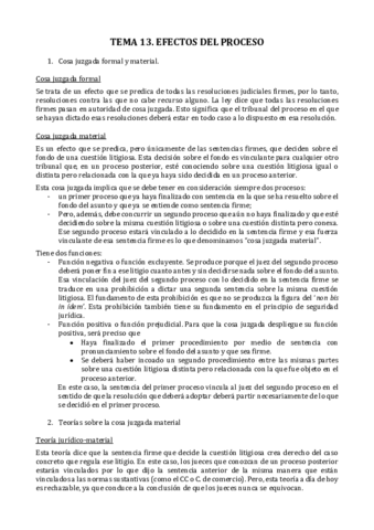 TEMA-13.pdf