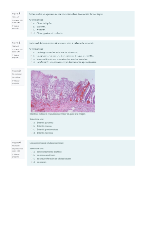 EXAMEN-PARCIAL-2-APG.pdf