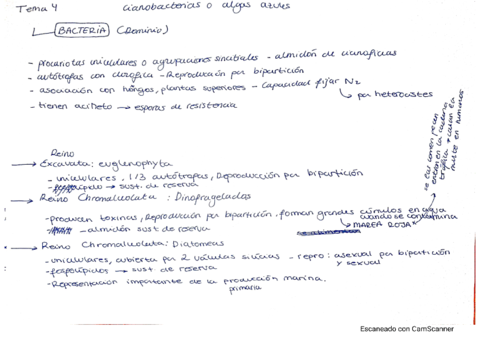 temas-4-5-6-y-ciclo-de-vida-basidiomycetes.pdf