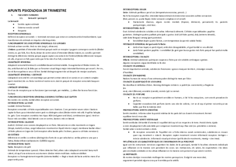 3r trimestre