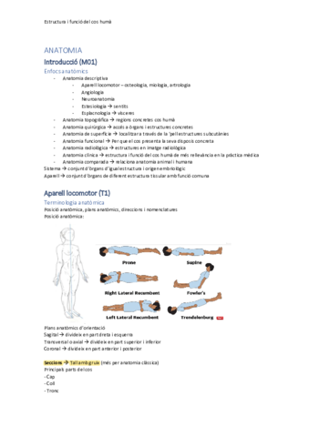 Apunts-anatomia-I-MMSS.pdf