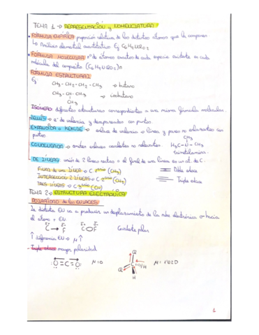 tema-1-2-3-y-4.pdf