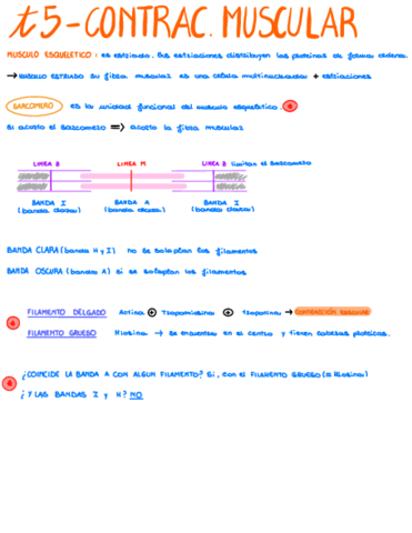 Bloc-de-notas-sin-titulo.pdf