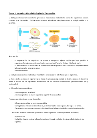 Tema 12y3 Biología del Desarrollo.pdf