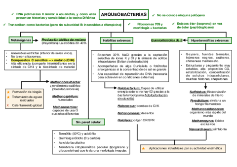 Esquemas-diversidad-bacteriana.pdf