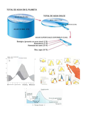 resumen-en-imagenes.pdf
