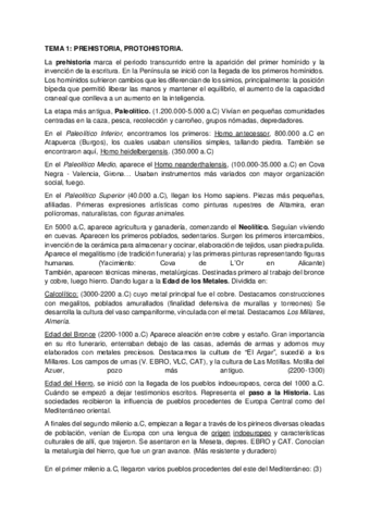 Minitemas-Historia-1.pdf