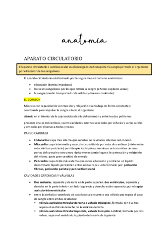 anatomia.pdf