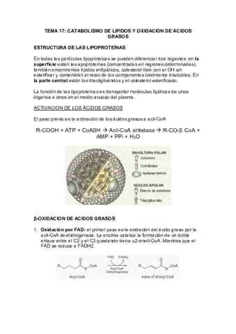 TEMA-17-BIOQUIMICA.pdf