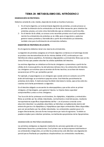 TEMA-20-BIOQUIMICA.pdf