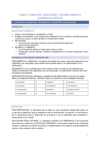 desarrollo-motriz.pdf