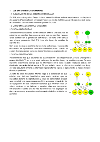 BIO-13.pdf