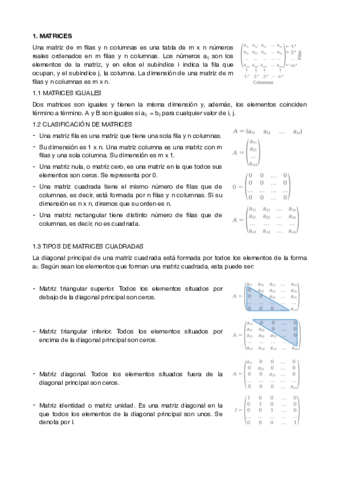 MATRICES.pdf