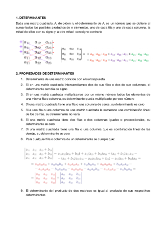 DETERMINANTES.pdf