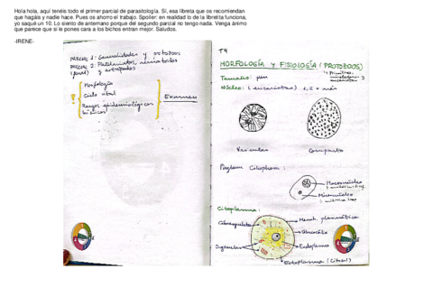 Primer-parcial-PARASITOLOGIA.pdf